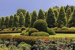 Green trees and shrubs in Shinjuku Gyoen National Garden, Tokyo, Japan, a sunny day with blue sky.jpg