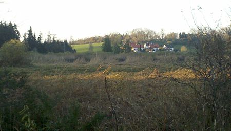 Groß Karpfsee