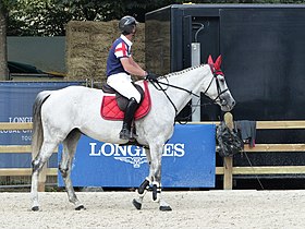 Legend of Love tamma, ratsastaja Olivier Philippaerts Pariisin Eiffel-hyppyjen aikana vuonna 2018.