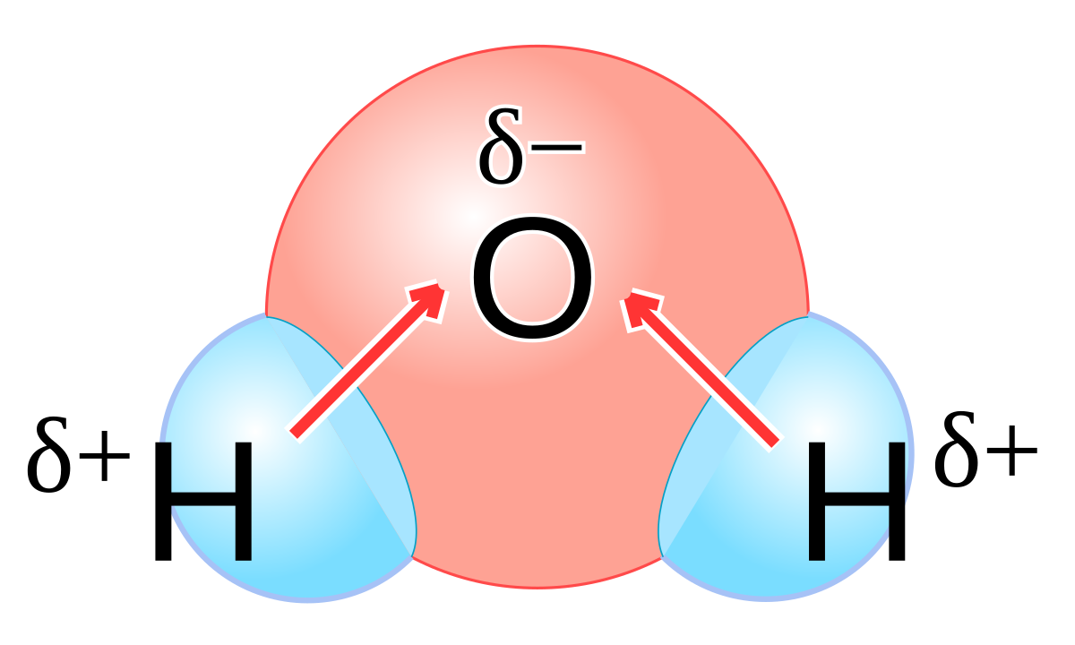 Polaridad de las moléculas