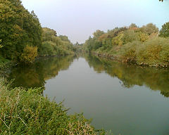 Hackney Marshes.jpg 