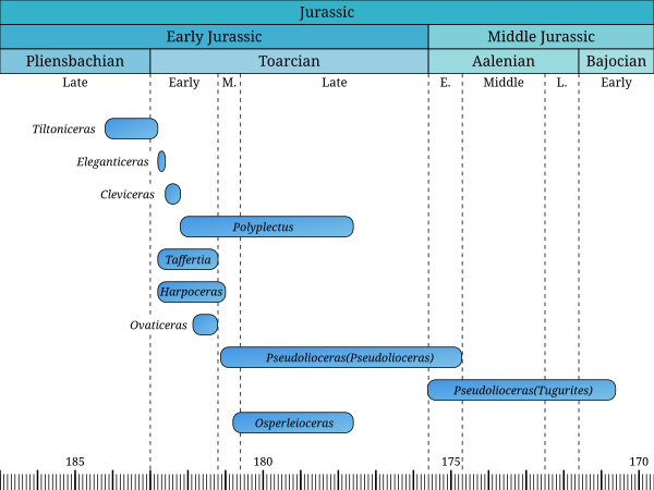 Approximate timeline of Harpoceratinae genera. Sphenarpites is not shown, as its occurrence in time is not exactly known (it is lower Toarcian). Taffertia might have died out in Exaratum subzone which, if true, would mean it would have only about 1/3 of existence time. Harpoceratinae.svg