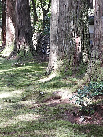 English: Heisenji Hakusan Shrine in Fukui