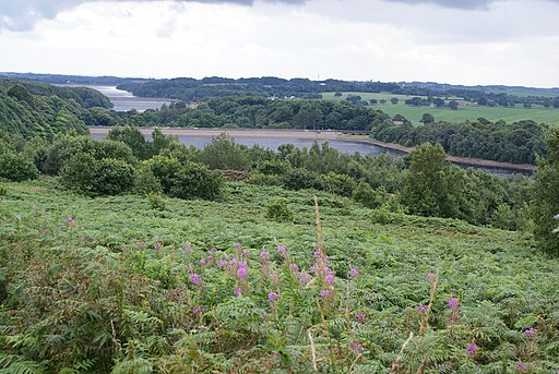 Higher ground above Anglezarke Reservoir - geograph.org.uk - 1690621