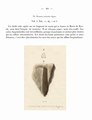Hybodus leptodus Agassiz, 1837 (Gravura e texto original).tif