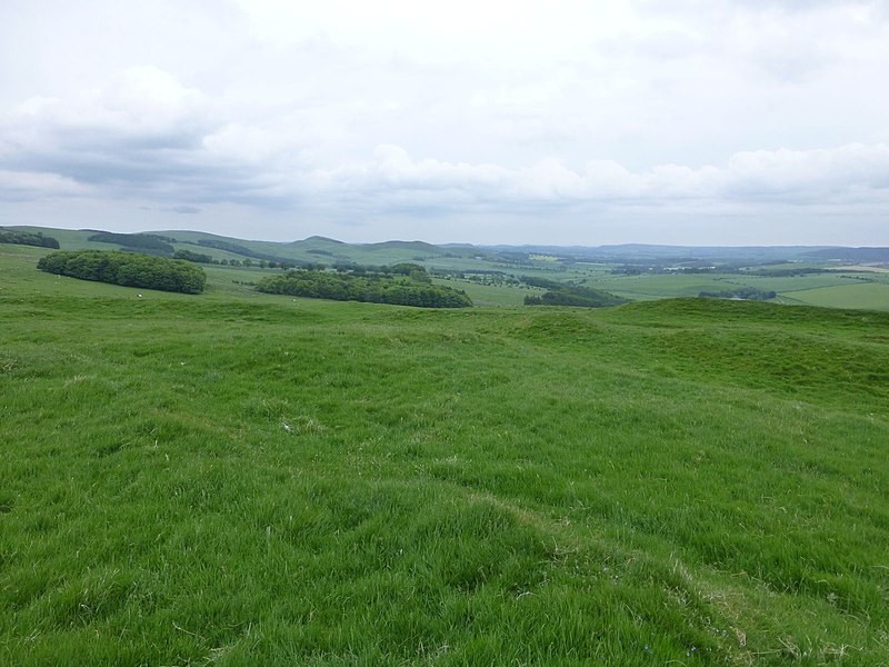 File:In Castle Hill hillfort - geograph.org.uk - 3518303.jpg