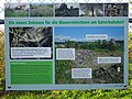 wikimedia_commons=File:Infotafel Schutzgebiet für die Mauereidechse Güterbahnhof Freiburg 01.jpg