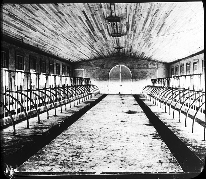 File:Interior of a dairy barn (3718586016).jpg