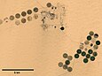 Bewässerung in der Zentral-Sahara (Ägypten)