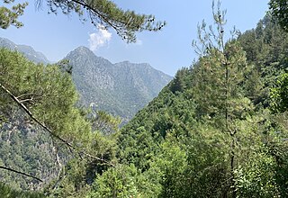 <span class="mw-page-title-main">Jabal Moussa Biosphere Reserve</span> Nature reserve in Lebanon