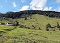 Blick auf Jackelberg Südseite mit Alm