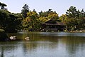 Japanese garden in Showa Memorial Park.jpg