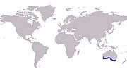 Thumbnail for File:KG whiting World Distribution Map.jpg