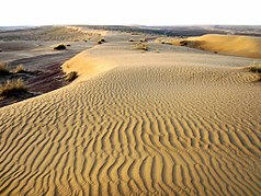 Dunes in the Karakum.