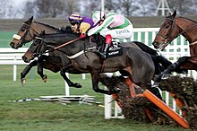 Foto van een hordenrace, waarbij een van de paarden die het obstakel kruist, het vernietigt en met zijn achterpoten neerstort.