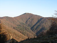 雲取山