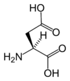 L-aspartic-acid-skeletal.png