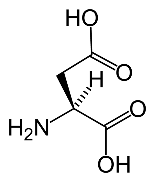 صورة:L-aspartic-acid-skeletal.png