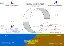 Idealized circulation pattern associated with a sea breeze LAKE BREEZE-en.gif