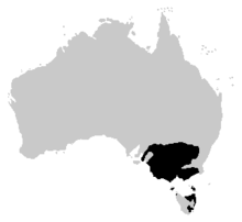 Litoria raniformis distribution.PNG