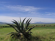 Trans-Mexican Volcanic Belt in the Municipality of Apan, southern Hidalgo.