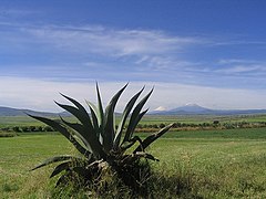Llanos de Apan na parte sur del estáu.