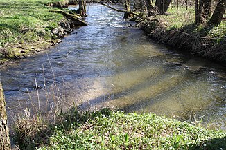 Mouth of the Lohrbach (front right) into the Aubach (left)