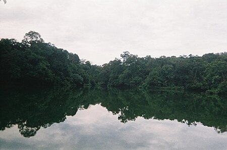 LowerPeirceReservoir 200803