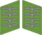 Luftwaffe krage flikar Hauptgefreiter 3D.svg