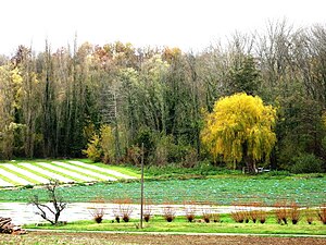 Kresseanbau bei Méréville