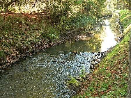 Mühlenriede Lauf