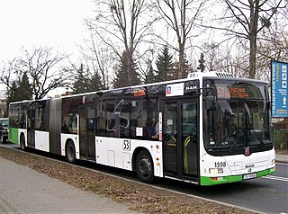 Bus transport in Szczecin