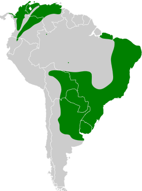 Distribución geográfica del picabuey.
