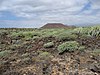 Zona Arqueológica de Rasca