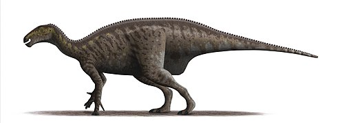 Mantellisaurus