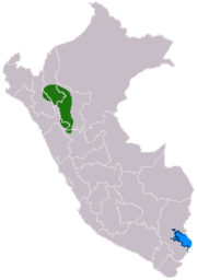 Locatie van de Chachapoya-cultuur
