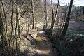 Čeština: Potok Markovka u řeky Jihlavy, okr. Třebíč. English: Markovka stream near Jihlava River, Třebíč District.