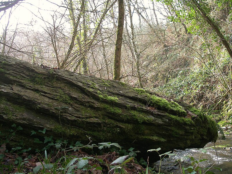 File:Menhir Culey2.jpg