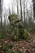 Vignette pour Menhir du Grand Berger