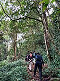 Gambar mini seharga Berkas:Menjelajahi Jejak Hijau di Taman Hutan Raya Abdul Latief.jpg