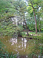 Teich im Mohns Park