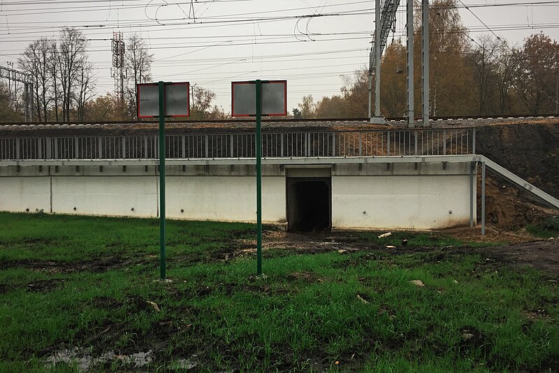 File:Moscow, pedestrian tunnel north of Belokamennaya MCC platform (31582873592).jpg