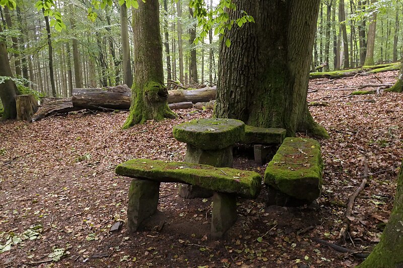 File:Naturdenkmal Altbaumbestand mit Steinernem Tisch bei Hirschhorn 2023b.JPG