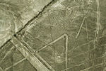 Nazca Lines, die Spinne, Peru (11341464226).jpg