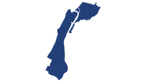 NewYorkCongD13(2016).svg