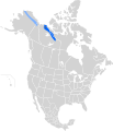 Numenius borealis breed map.svg