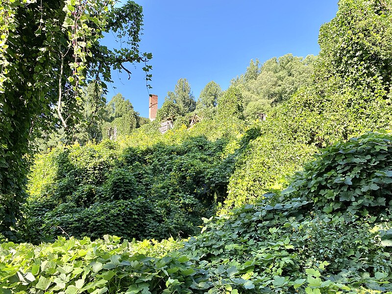 File:Old White Rock Hospital, White Rock, NC (50528611441).jpg