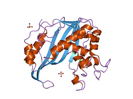 File:PDB 1hw4 EBI.jpg