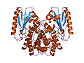 Thumbnail for Kanamycin nucleotidyltransferase