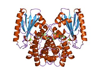 <span class="mw-page-title-main">Kanamycin nucleotidyltransferase</span>